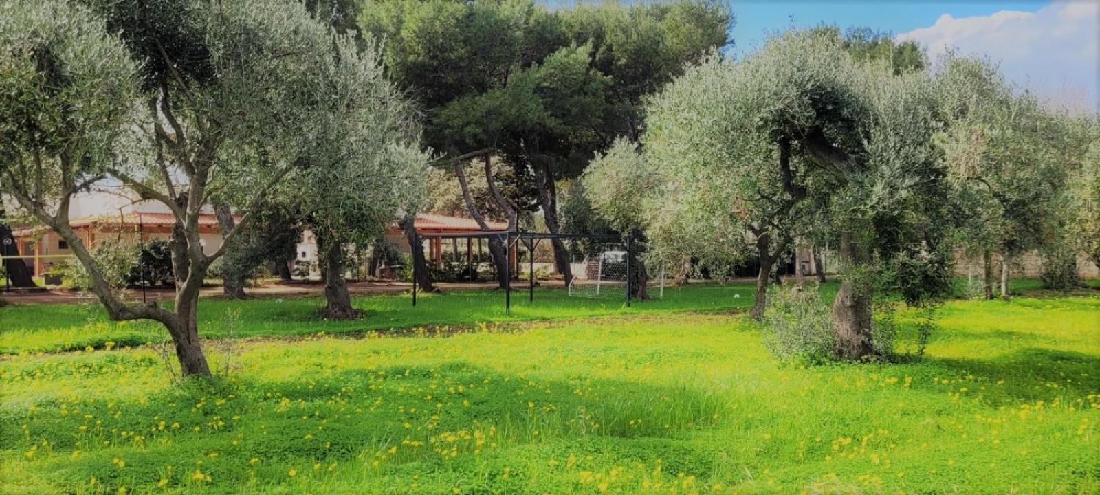 Villa Laura Bari Eksteriør billede